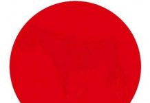 Đố bạn tả được chính xác con vật trốn trong bức hình này