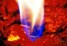 Bí ẩn cánh đồng “quỷ” ở Trung Quốc