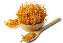 Quy trình nuôi cấy nhộng trùng thảo ở Trung Quốc