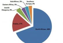Phân tích ADN sốc: Phần lớn người Ai Cập không phải gốc Arab