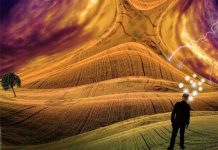 Giấc mơ sáng suốt có thể được tạo nhờ tác động não bộ Giấc mơ sáng suốt có thể được tạo nhờ tác động não bộ