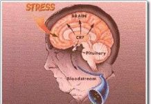 Điều trái ngược trong cảm xúc con người