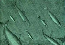 Khám phá những hiện tượng thời tiết kỳ thú trên thế giới