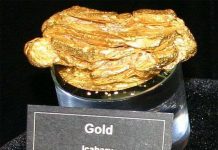 Cục vàng nhỏ siêu đắt
