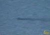 Một nhân chứng quay được quái vật hồ Loch Ness