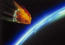 Sự sống Trái đất bắt nguồn từ vi khuẩn vũ trụ