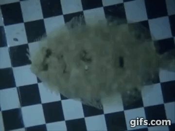 Người Hàn Quốc đã tạo nên tòa tháp vô hình độc nhất trên thế giới như thế nào?