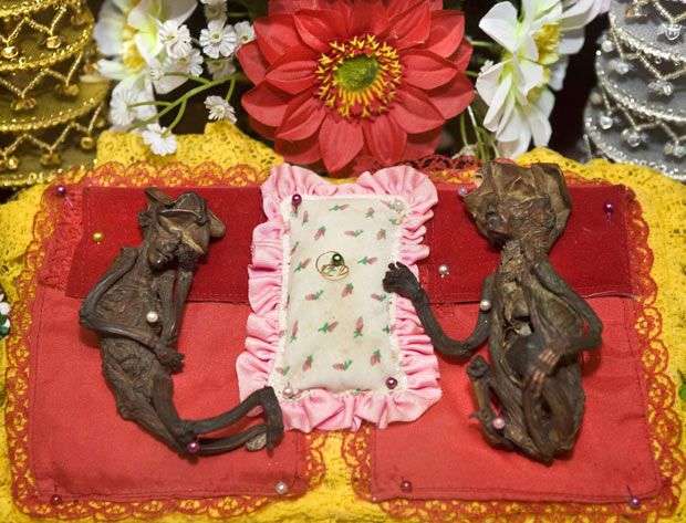 Thực – hư những xác chết người ngoài hành tinh