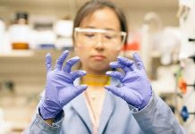 Loại pin đặc biệt có thể cung cấp năng lượng theo ý muốn Loại pin đặc biệt có thể cung cấp năng lượng theo ý muốn