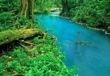 Dòng sông màu ngọc lam đánh lừa các nhà khoa học