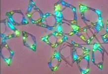 Dầu đông lạnh có thể là chìa khóa để tạo ra vật liệu biến hình