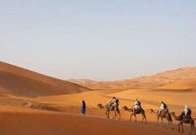 Đã tìm ra tuổi thật của sa mạc Sahara?