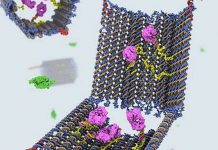 Robot DNA có thể tiêu diệt các tế bào ung thư