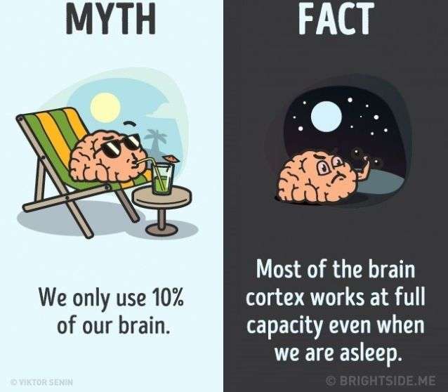 12 nhận thức sai lầm bạn vẫn luôn tin là đúng