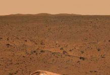 Muốn lên sao Hỏa, phải biết trồng trọt và nấu ăn