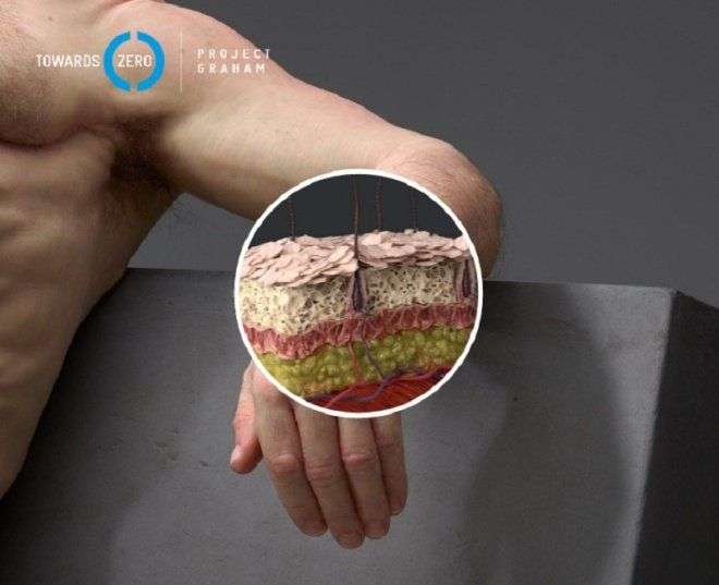 Mô hình người có thể sống sót trong tai nạn giao thông