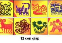 Bạn có chào đời vào ngày may mắn của năm sinh?