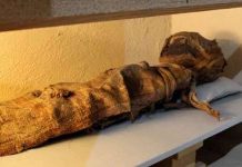 Tiết lộ bí ẩn xác ướp nam giới trong trang phục nữ