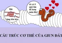 10 điều thú vị về cuộc sống có thể bạn chưa biết