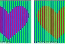 Câu đố thách thức hàng nghìn người: "Trái tim có màu gì?"