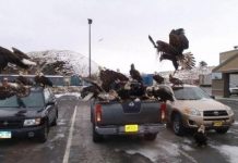 Những thị trấn kỳ lạ trên thế giới