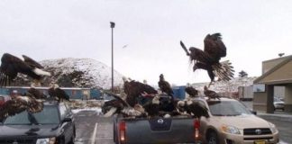 Những thị trấn kỳ lạ trên thế giới