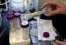 Những công nghệ tiên tiến giúp phát hiện thực phẩm bẩn