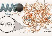 Cánh quạt nhỏ nhất thế giới