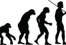 Con người vẫn chưa thực sự tiến hoá tới "đỉnh"?
