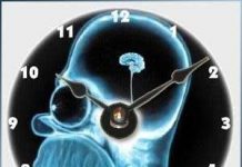 Tốc độ xử lý về mặt thời gian của bộ não con người