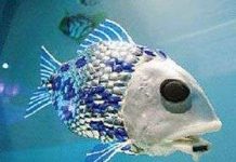 Cá robot có thể kiểm soát chất lượng nước