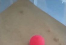 Lý giải hiện tượng cát sủi bọt như nước sôi