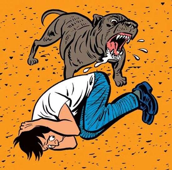 Cách phòng tránh và thoát thân khi bị chó dữ tấn công