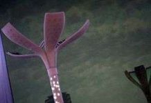 Đèn hình hoa phát sáng không cần điện lưới