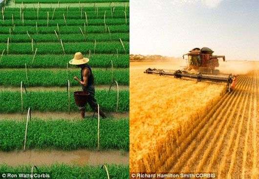 Hé lộ căn nguyên khác biệt văn hóa Đông – Tây