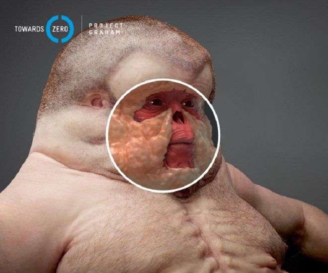 Mô hình người có thể sống sót trong tai nạn giao thông