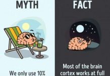 12 nhận thức sai lầm bạn vẫn luôn tin là đúng