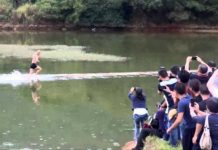 Thuật khinh công trên mặt nước dưới góc nhìn khoa học