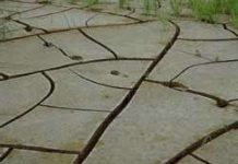 Hạn hán sẽ thường xuyên hơn