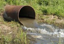 Băng vệ sinh giúp phát hiện nguồn nước ô nhiễm dễ dàng hơn