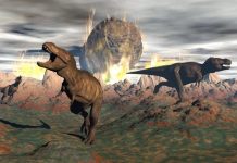 Chỉ cần thiên thạch rơi chậm hơn 30s, khủng long đã không tuyệt chủng