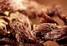 Bí mật trong vải bọc xác ướp của người Ai Cập cổ đại