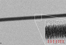 Lần đầu chụp được ảnh ADN