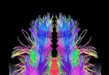 Sẽ có máy “đọc” giấc mơ