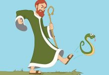 Ireland - Thiên đường dành cho những người sợ rắn