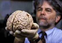 Tại sao ở nhiệt độ lạnh con người lại thông minh hơn?