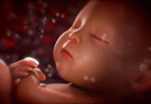 Những điều bạn được học ngay từ khi còn trong bụng mẹ