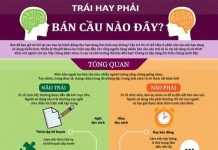 Sự khác nhau giữa những người dùng bán cầu não trái và phải