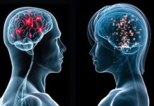 "Bản đồ" tình dục trên não nữ giới