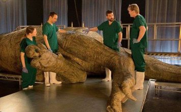 Lần đầu tiên khám nghiệm tử thi một con khủng long T-Rex hoàn thiện nhất